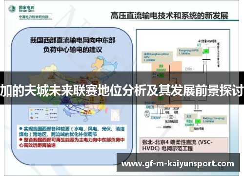 加的夫城未来联赛地位分析及其发展前景探讨 加的夫城未来联赛地位分析及其发展前景探讨