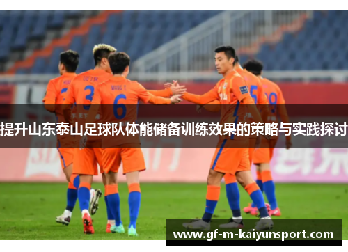 提升山东泰山足球队体能储备训练效果的策略与实践探讨