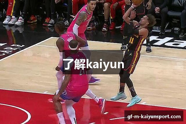 了解kaiyun